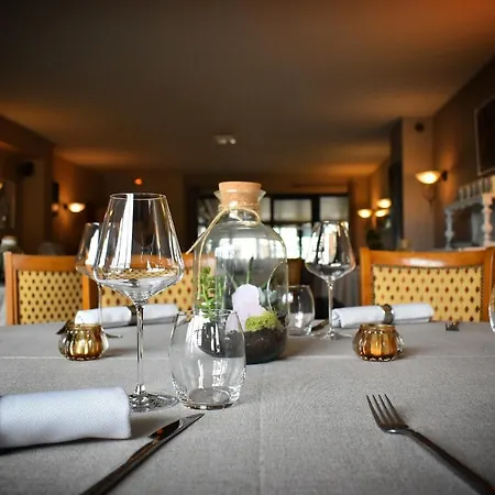 Hotel Le Cheval Blanc - Du Der - Logis 3*