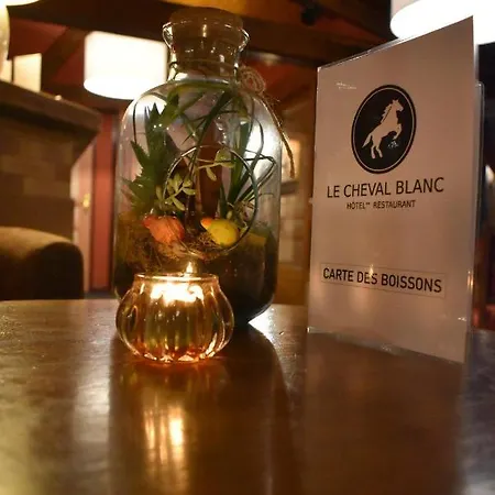 Le Cheval Blanc - Du Der - Logis 3* Giffaumont-Champaubert