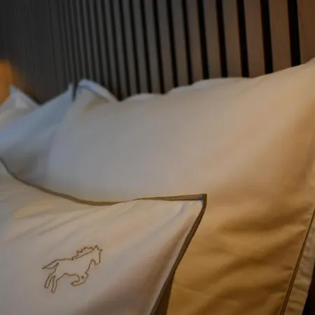 Le Cheval Blanc - Logis Hotel 3*