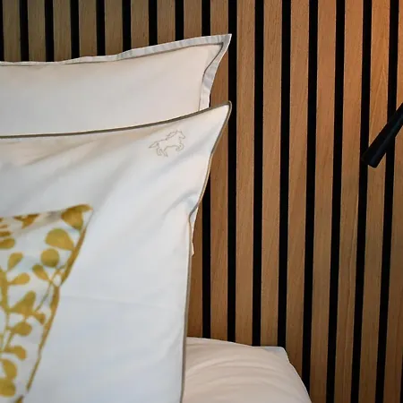 Hotel Le Cheval Blanc - Du Der - Logis