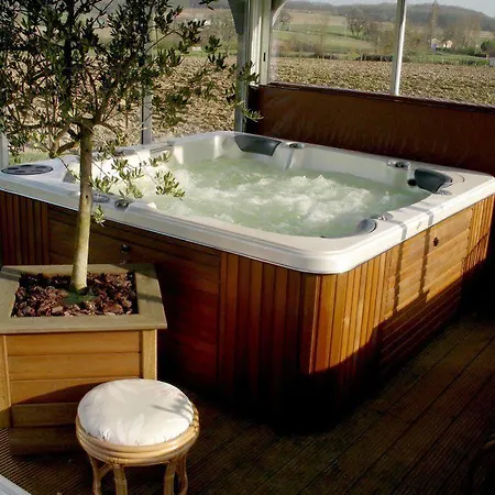 Hotel Le Cheval Blanc - Du Der - Logis 3*