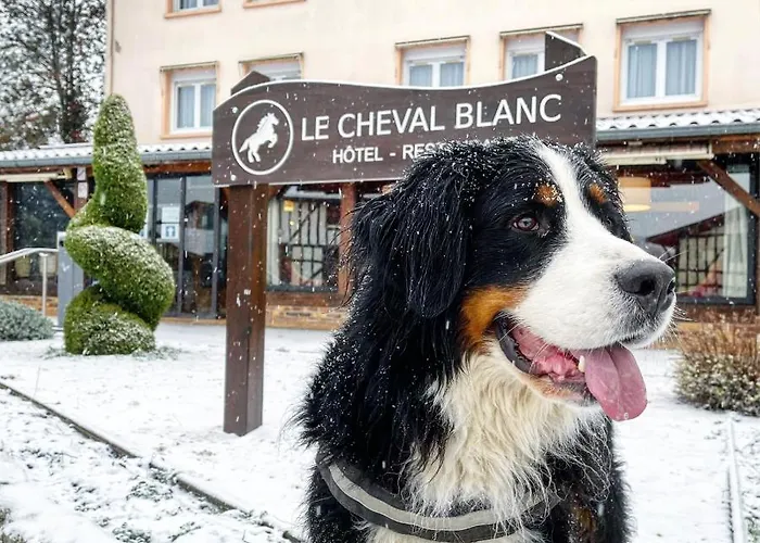 Le Cheval Blanc - Logis 3* Giffaumont-Champaubert