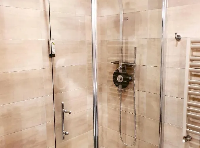 Le Cheval Blanc - Du Der - Logis 호텔 3*